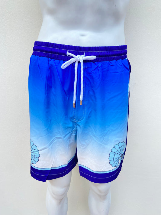 Bañador, azul marino con azul claro y estampado de concha.